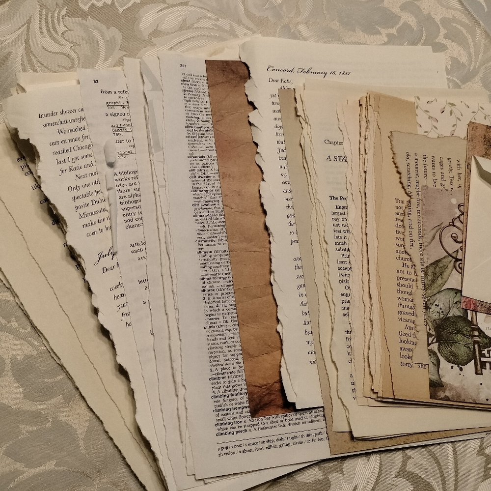 ⚜️ Vintage Book Page Ephemara Bundle - Picture 3 of 5